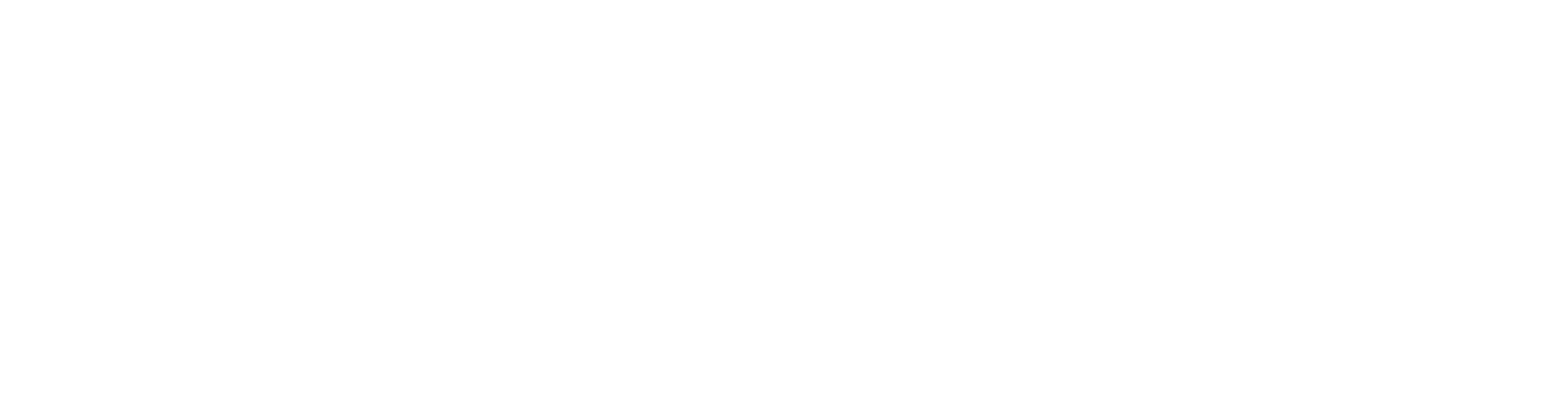 Santo Engineering Logo